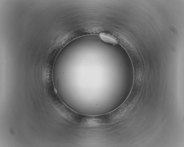 X0000116560268200912101456