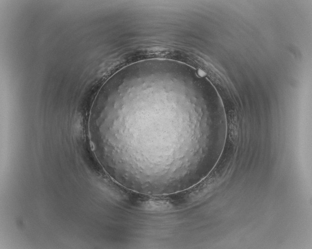 X0000116560270200912101456