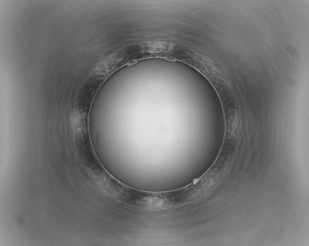 X0000116560272200912101456