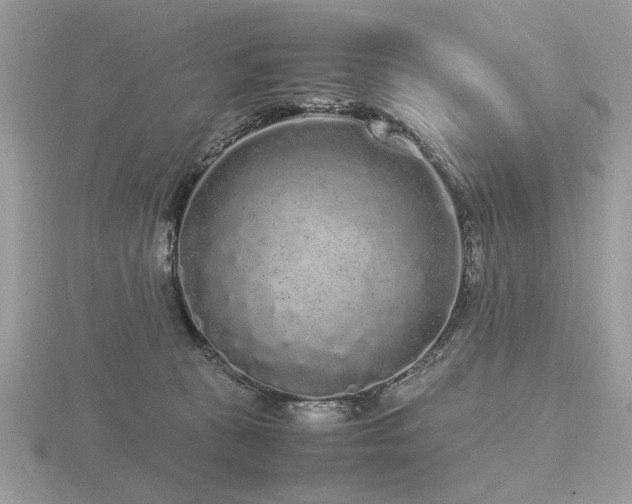 X0000116560273200912101456