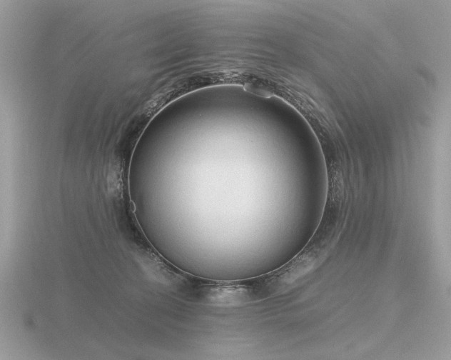 X0000116560274200912101456