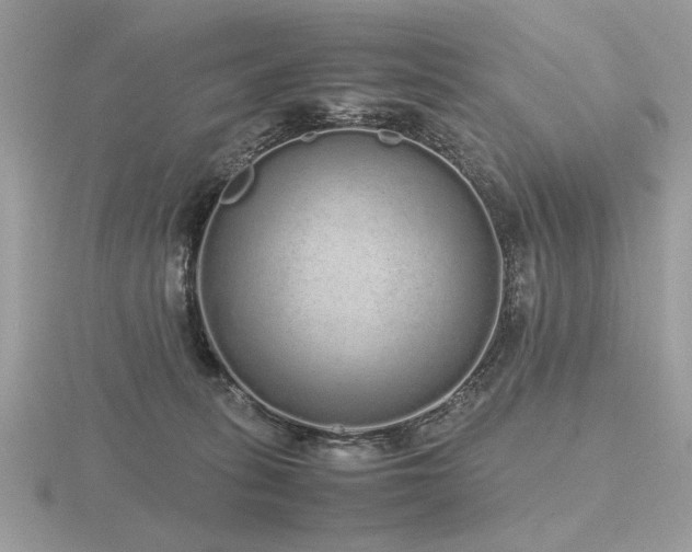 X0000116560275200912101456