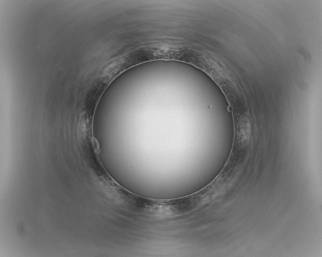 X0000116560276200912101456