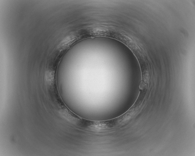 X0000116560278200912101456