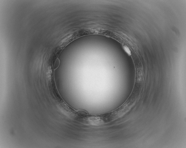 X0000116560279200912101456