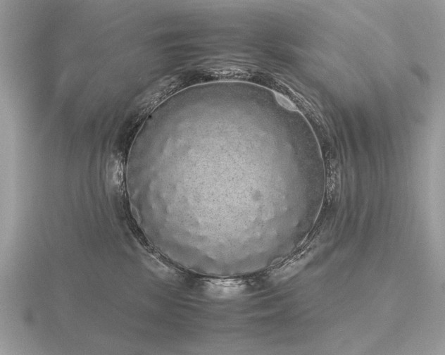 X0000116560281200912101456