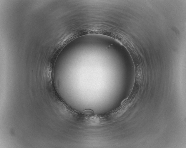 X0000116560282200912101456