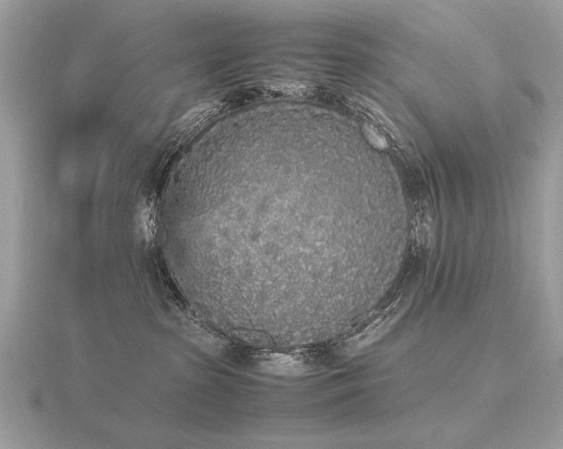 X0000116560285200912101456