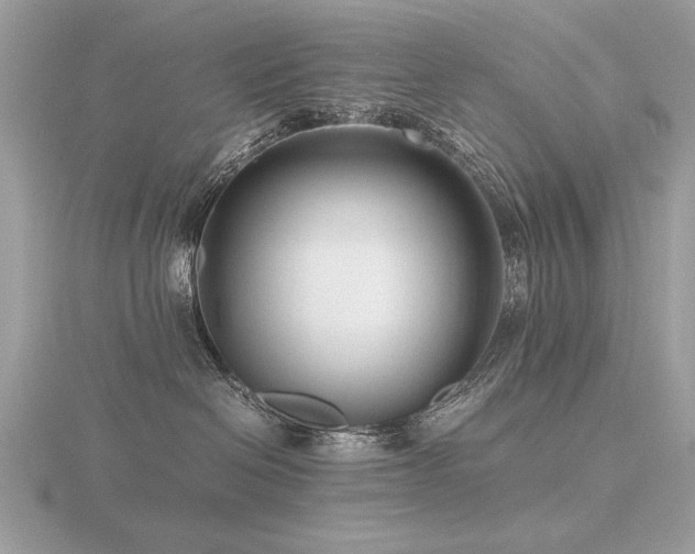 X0000116560286200912101456