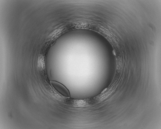X0000116560287200912101456