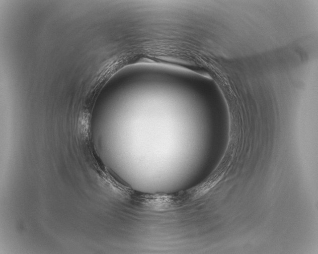 X0000116560288200912101456