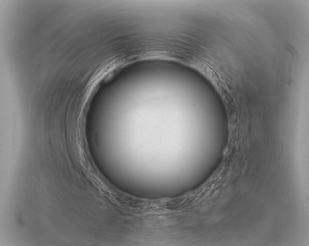 X0000116560289200912101456