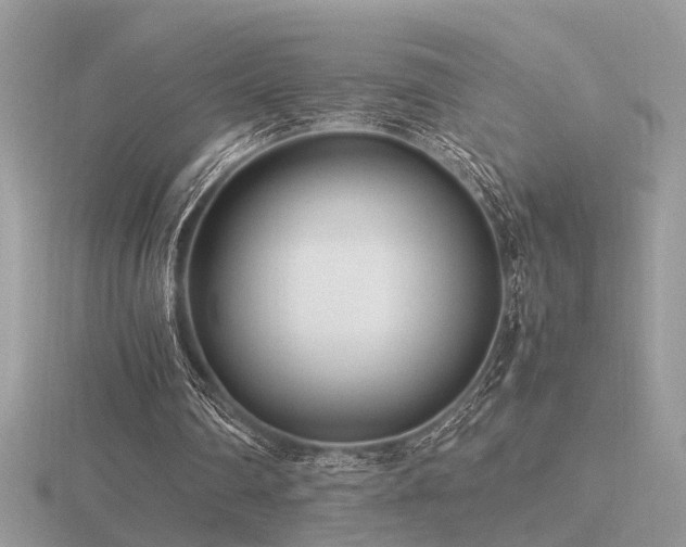 X0000116560290200912101456