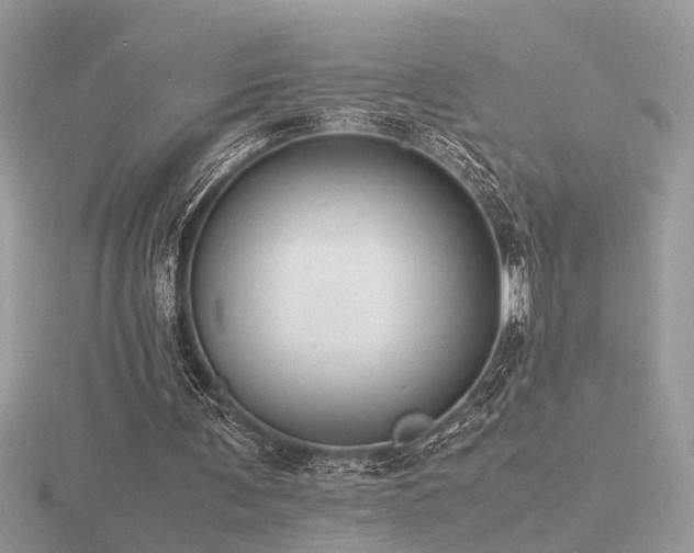 X0000116560291200912101456