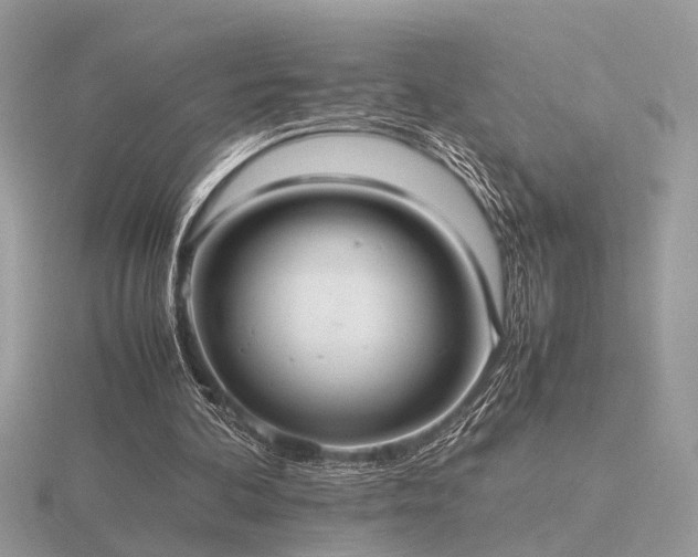 X0000116560292200912101456
