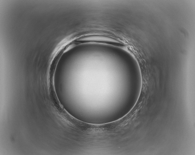 X0000116560296200912101456