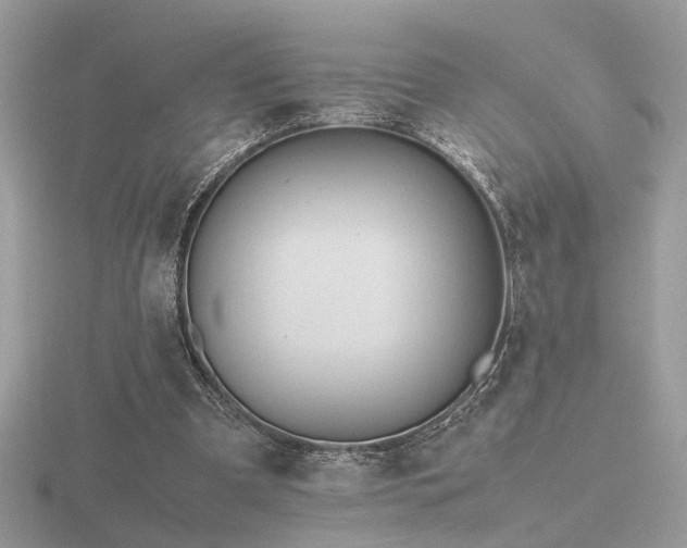 X0000116560297200912101456