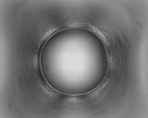 X0000116560298200912101455