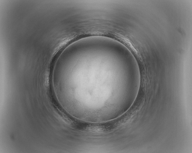 X0000116560299200912101455