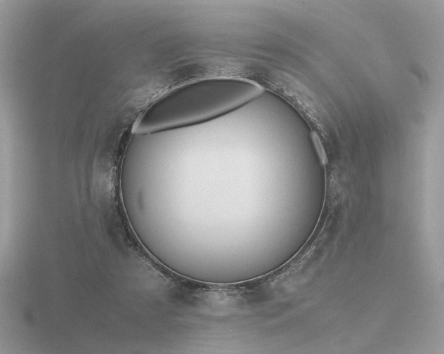 X0000116560305200912101455