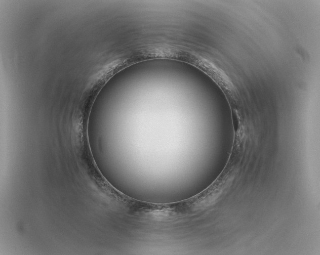 X0000116560306200912101455