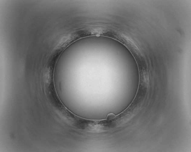 X0000116560311200912101455