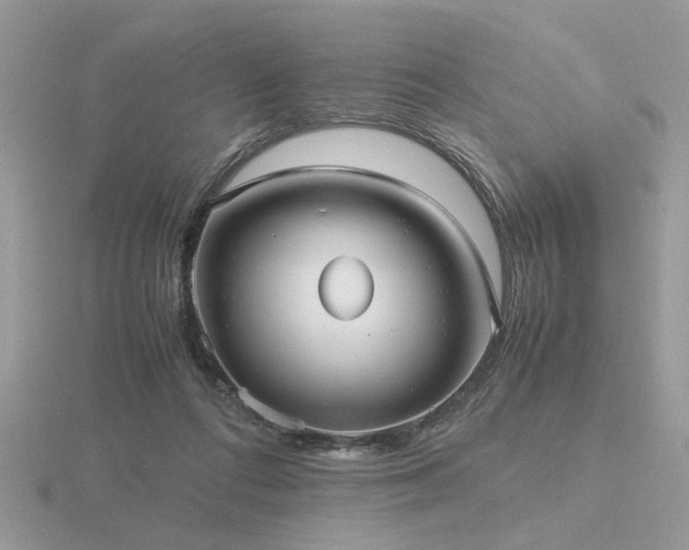 X0000116560312200912101455