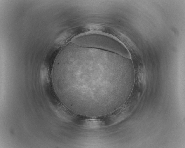 X0000116560316200912101455