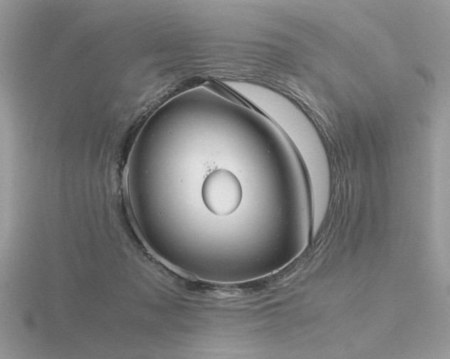 X0000116560317200912101455