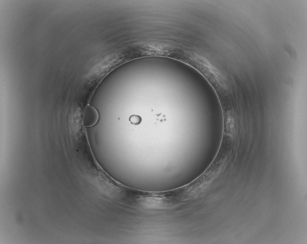 X0000116560318200912101455