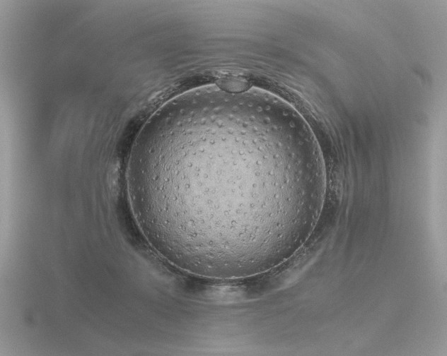 X0000116560319200912101455