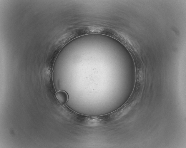 X0000116560321200912101455