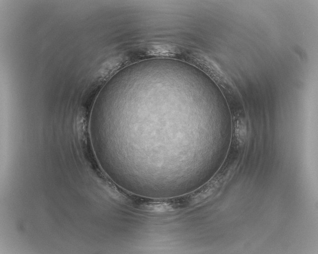 X0000116560322200912101455