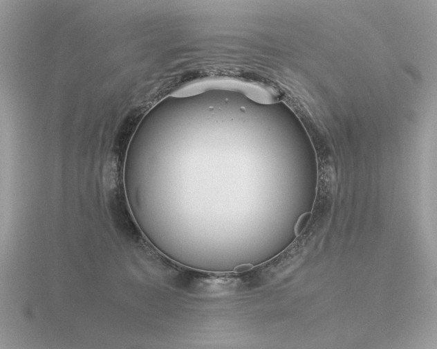 X0000116560323200912101455