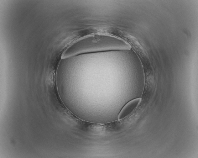 X0000116560325200912101455