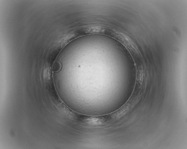 X0000116560326200912101455