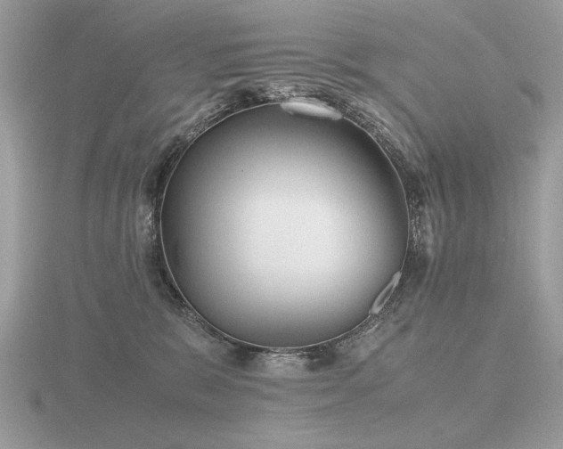 X0000116560327200912101455