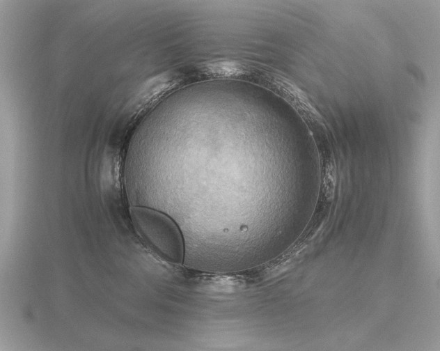X0000116560330200912101455