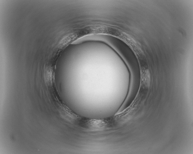 X0000116560333200912101455