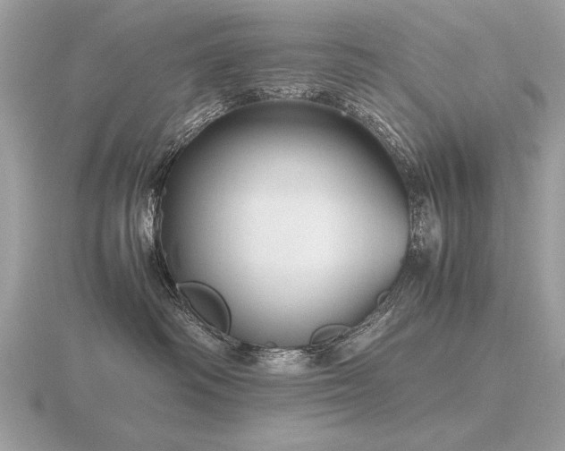 X0000116560334200912101455