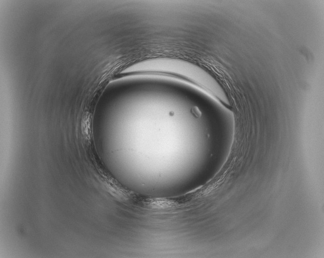 X0000116560336200912101455