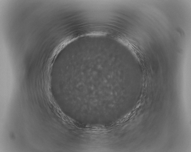 X0000116560337200912101454