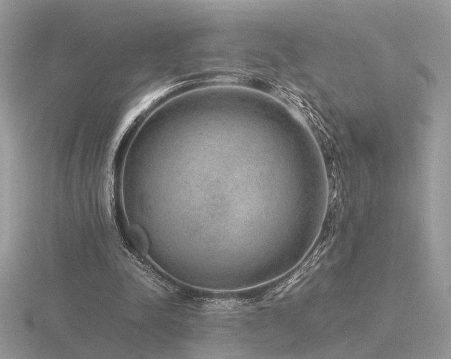 X0000116560342200912101454