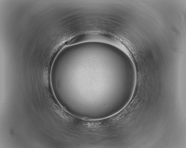 X0000116560345200912101454
