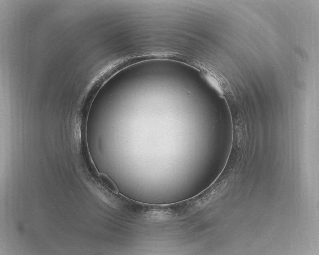 X0000116560350200912101455