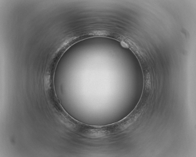 X0000116560351200912101455