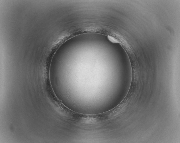 X0000116560354200912101455