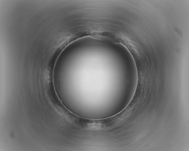 X0000116560362200912101455