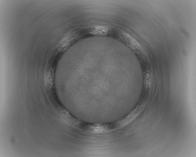 X0000116560370200912101455