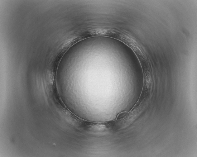 X0000116560374200912101455
